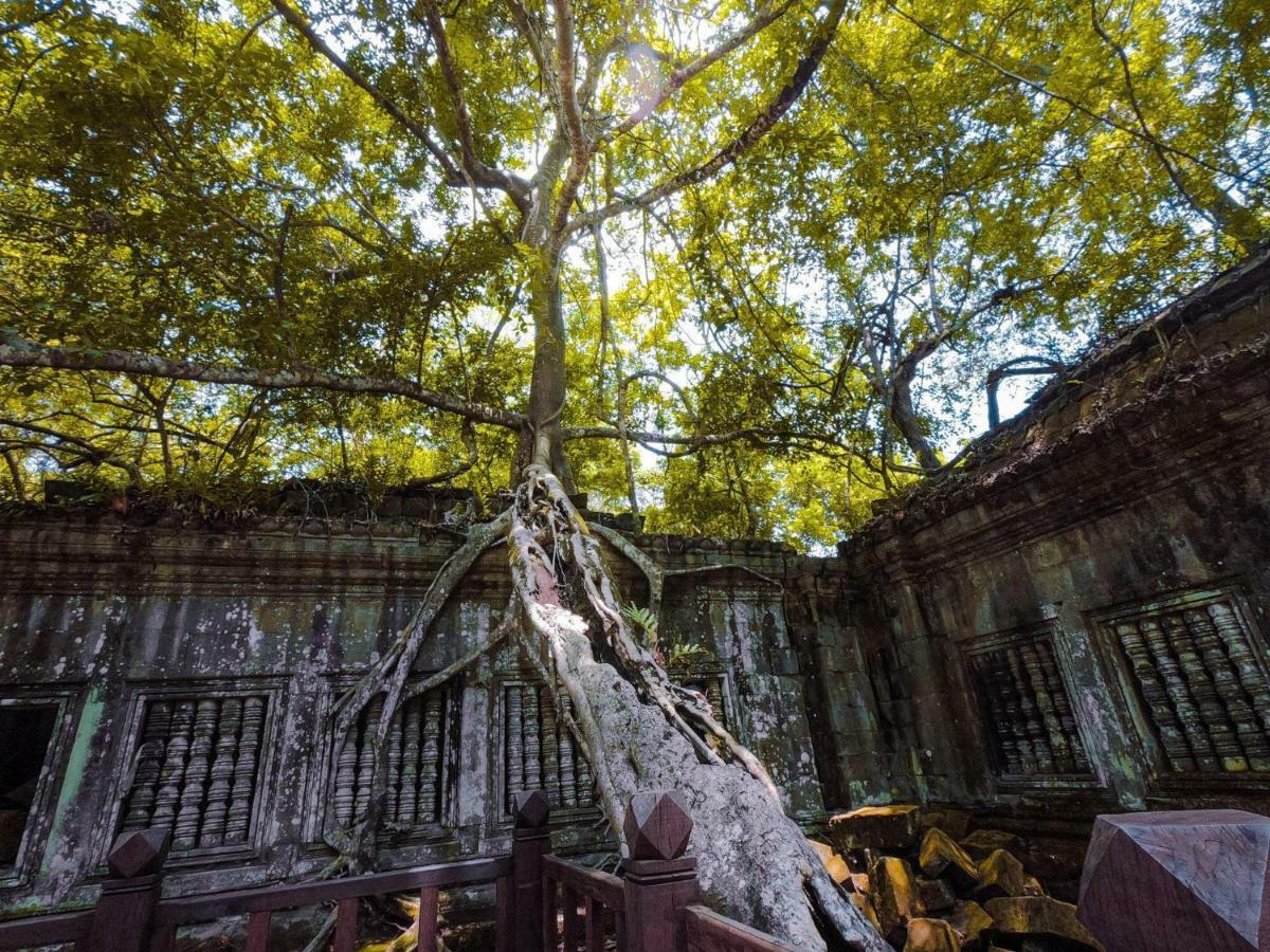 Anachak Angkor Residence Сием Реап Екстериор снимка